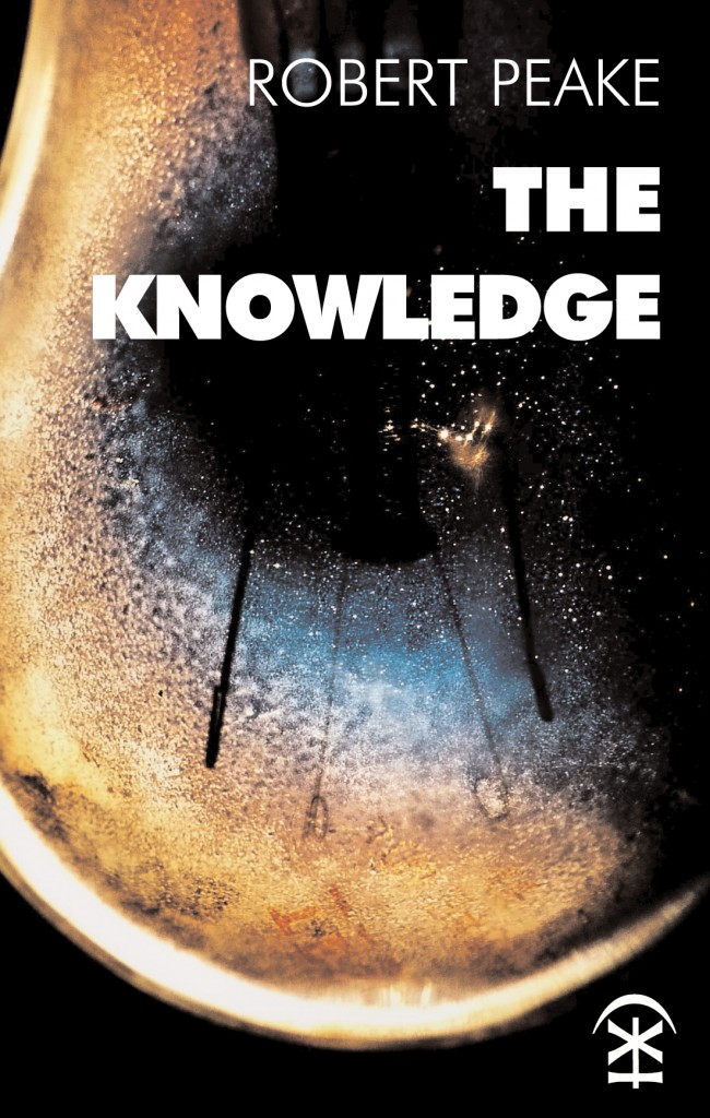 The Knowledge by Robert Peake