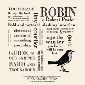 Robin Concrete Poem