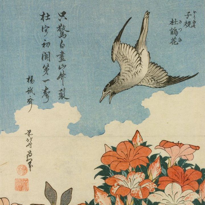 Cuckoo by Hokusai